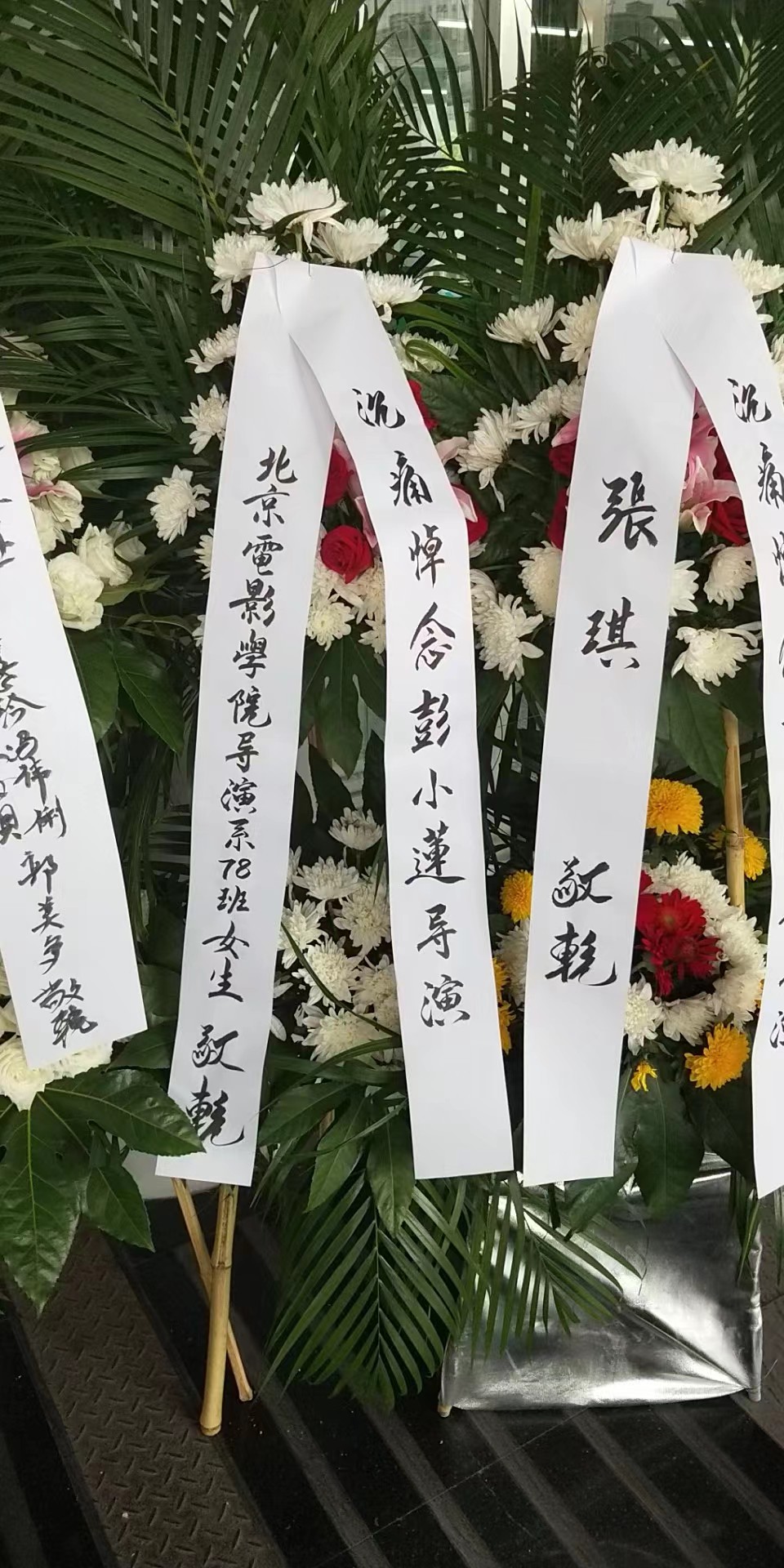 2019，6.19日彭小莲导演追悼会(图1)