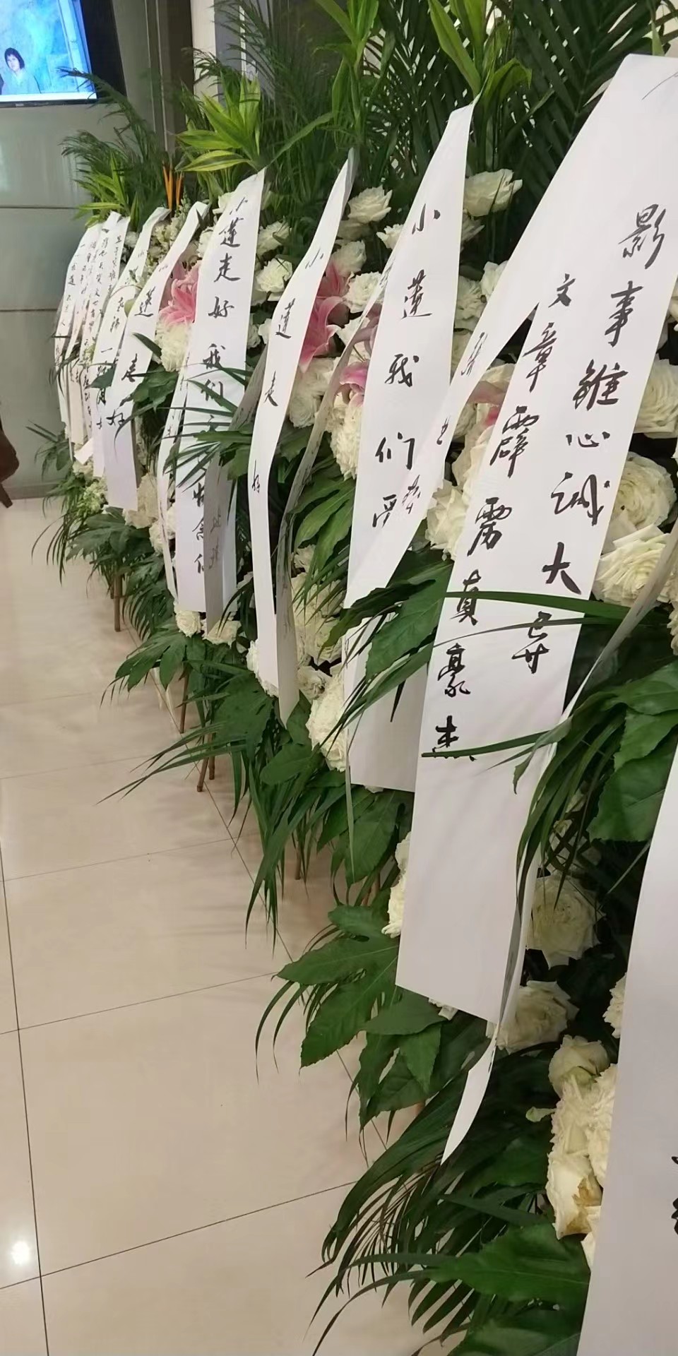 2019，6.19日彭小莲导演追悼会(图2)